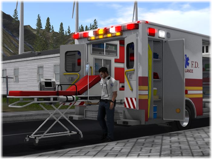 HD Panther Ambulance Medical Stretcher